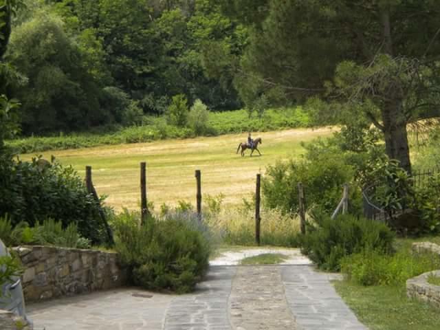 La Gufaia - Holiday House With Private Pool Near Florence Carmignano Buitenkant foto